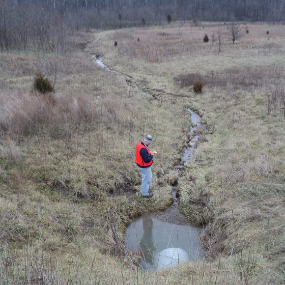 Texas Gas - Bear Run - NV5