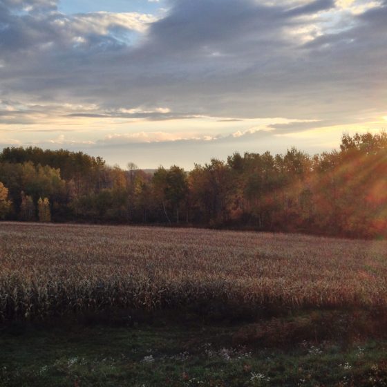 Central New York Oil and Gas Company: MARC I Hub Line - NV5