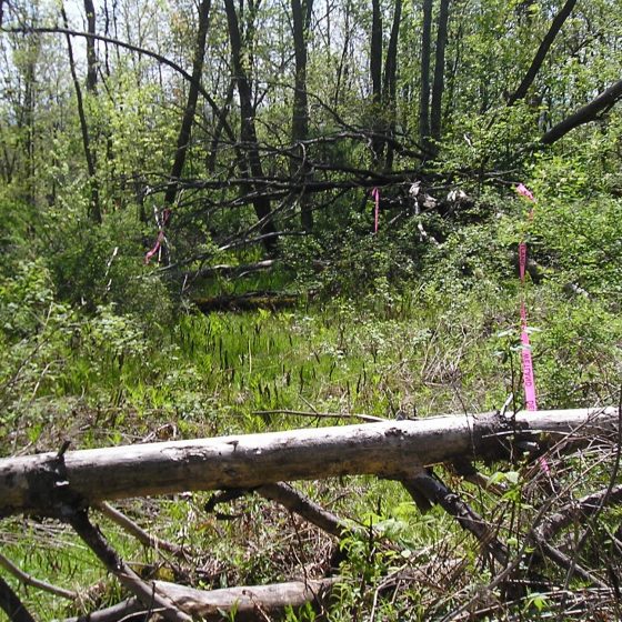 Central New York Oil and Gas: Stagecoach Storage - NV5