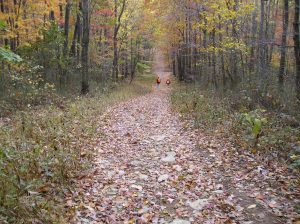 Chestnut Ridge Storage: Junction Storage Project