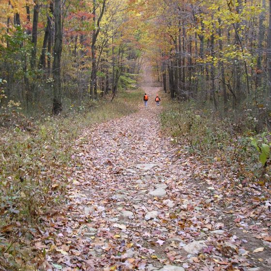 Chestnut Ridge Storage: Junction Storage Project - NV5