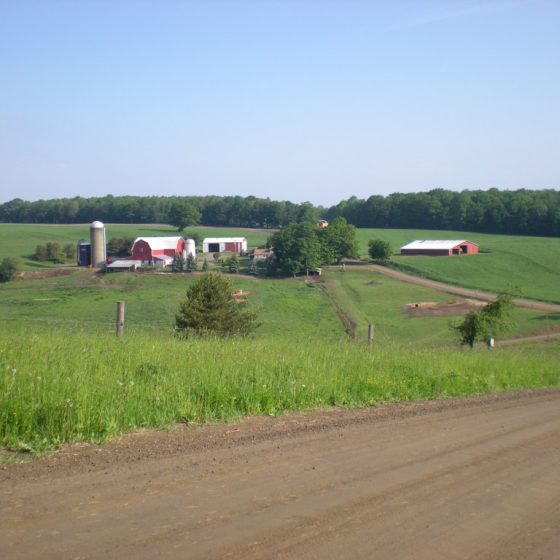 Thomas Corners Project_NY-farm