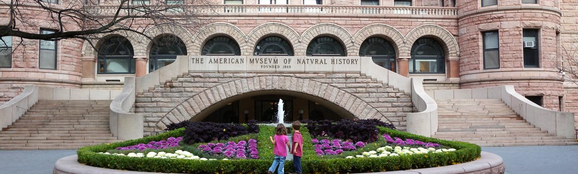 NV5 - American Museum of Natural History