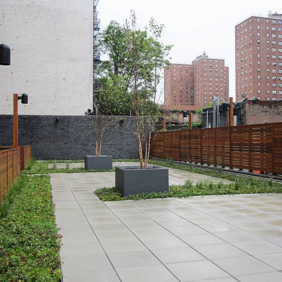 NV5 - La Celia Apartments - Bronx, NY