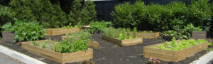 Nature Explore Classroom