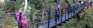 Nisenan Tribute Bridge