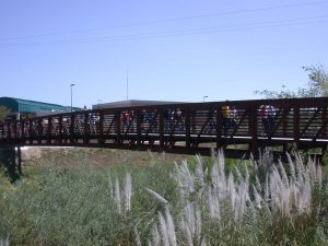 Santa Gertrudis Creek Bridge