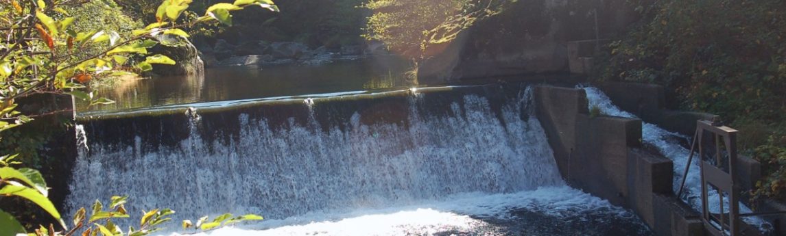 NV5 - Wildcat Dam Removal