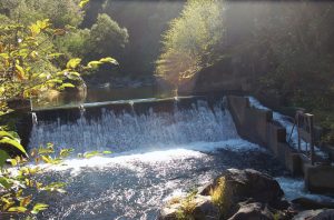 Wildcat Dam Removal