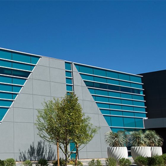 NV5 - UFC Headquarters Facility in Las Vegas