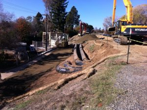 Site L5A Levee