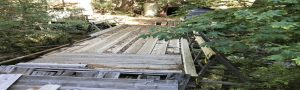 Re-Opening an Old California Gold Mine
