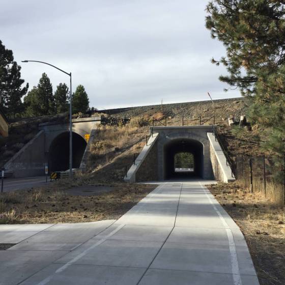 NV5 - Pedestrian Mousehole