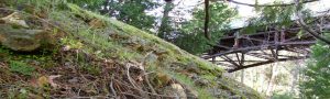 Stiles Mill and Providence Mine