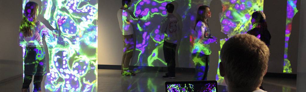 NC State University James B. Hunt Library