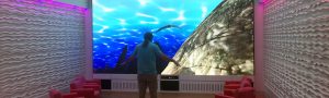 St. Jude Children’s Research Hospital Interactive Patient Experience